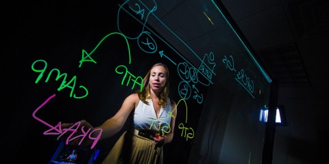 Требования к помещению для установки видеостудии 1Lightboard